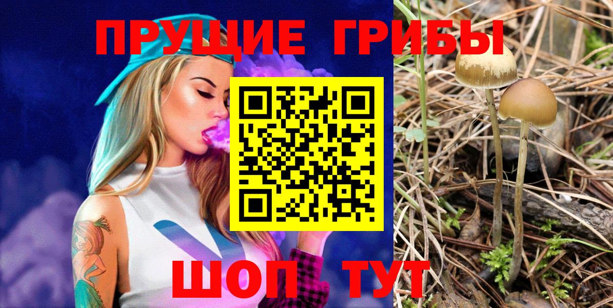 Псилоцибиновые грибы Cubensis Стрежевой