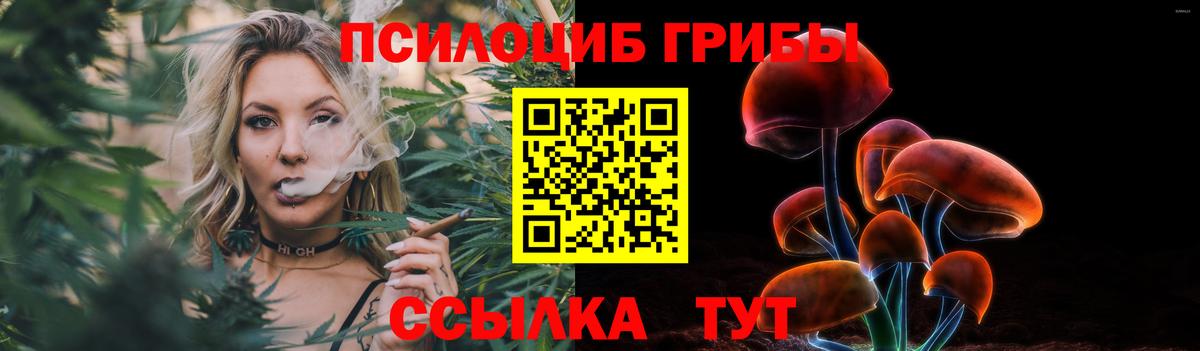 Псилоцибиновые грибы прущие грибы  Вход с VPN  Стрежевой 